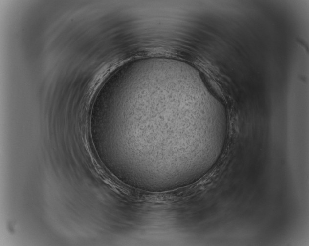 X0000103240241200809111603