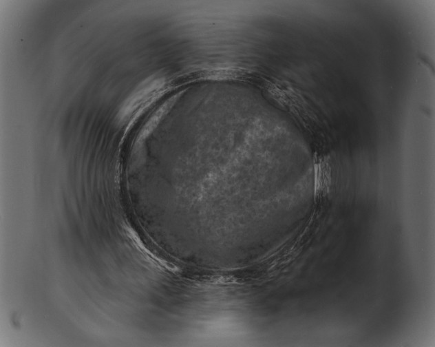 X0000103240243200809111603