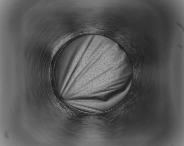 X0000103240244200809111603