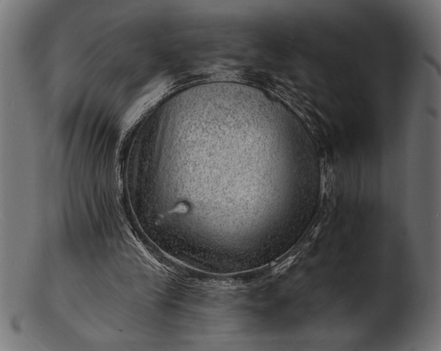 X0000103240245200809111603