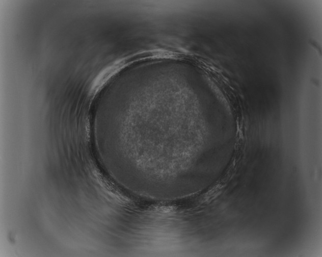 X0000103240247200809111603