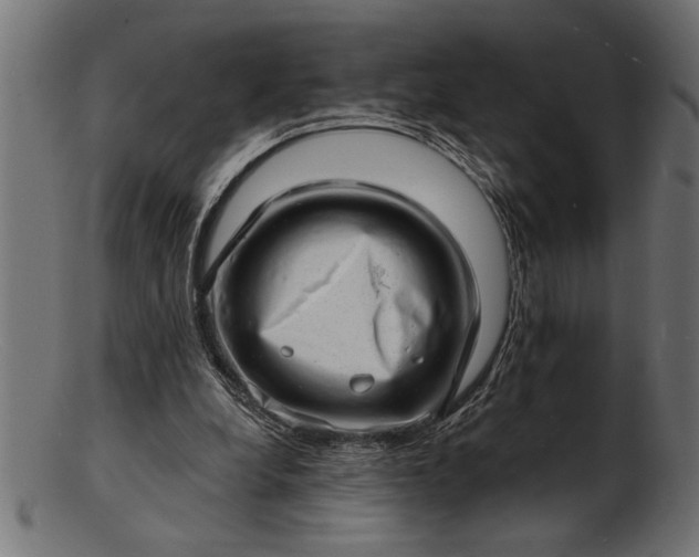 X0000103240248200809111603