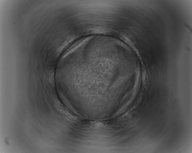 X0000103240249200809111603