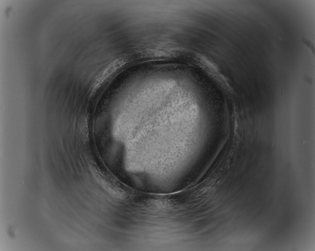 X0000103240250200809111603