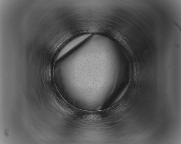 X0000103240251200809111603