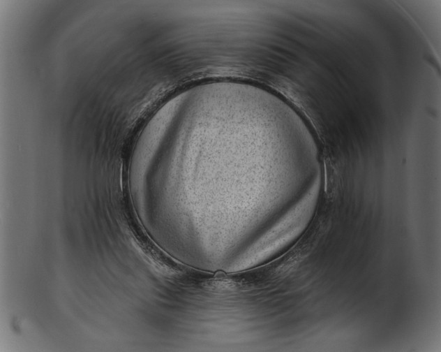 X0000103240253200809111603