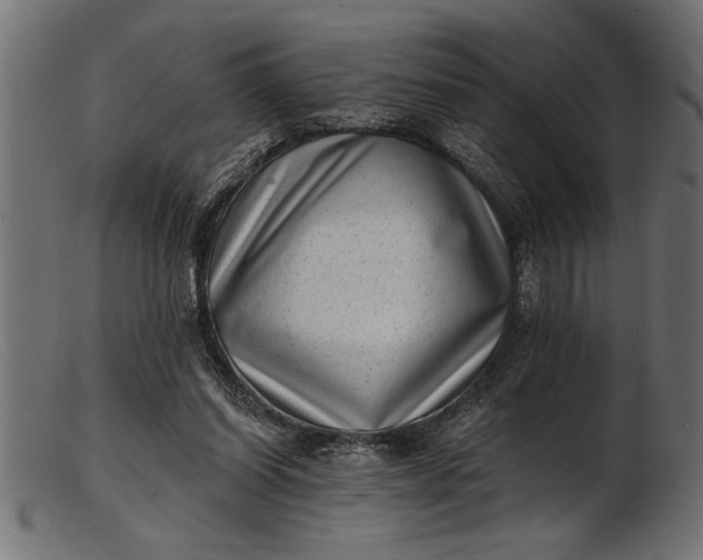 X0000103240254200809111603