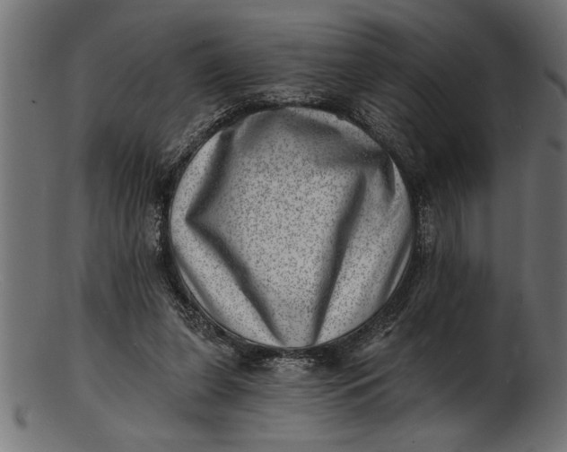 X0000103240255200809111603