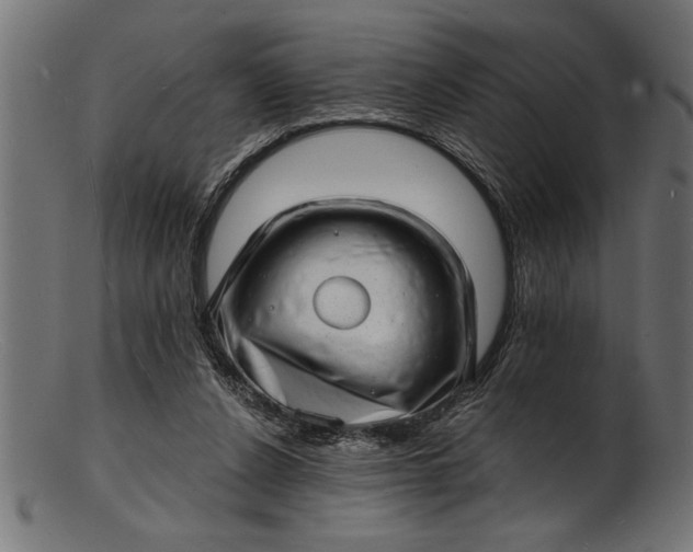 X0000103240256200809111603