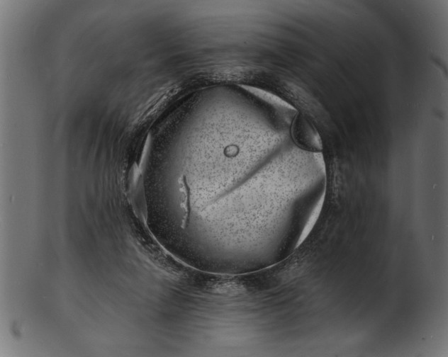 X0000103240258200809111603