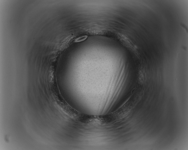 X0000103240259200809111603