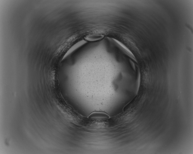 X0000103240260200809111603