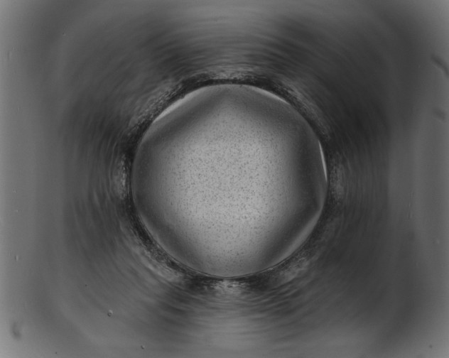 X0000103240261200809111603