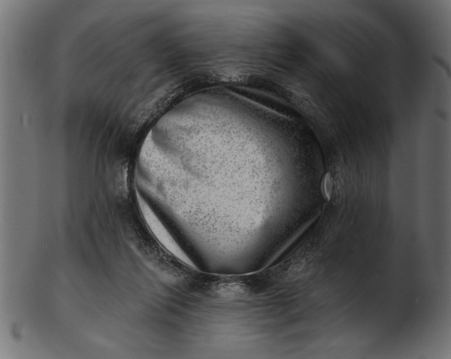 X0000103240262200809111604