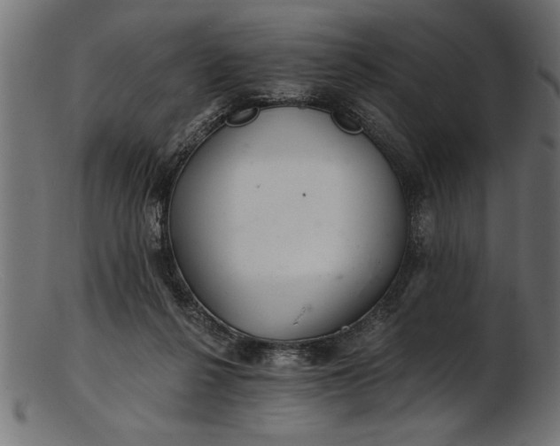 X0000103240264200809111604