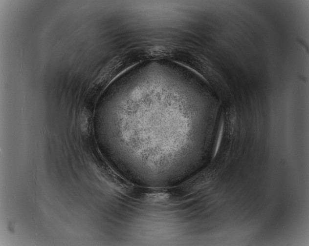 X0000103240266200809111604