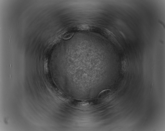 X0000103240267200809111604