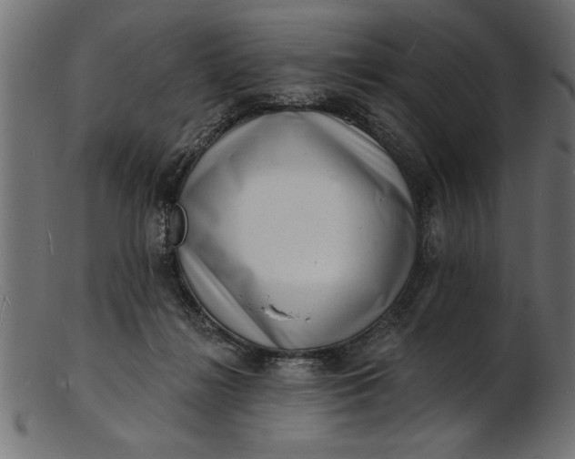 X0000103240268200809111604