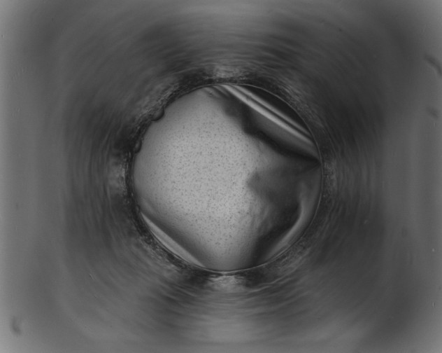 X0000103240269200809111604