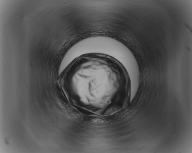 X0000103240272200809111604