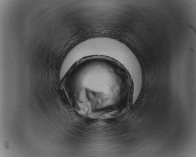 X0000103240276200809111604