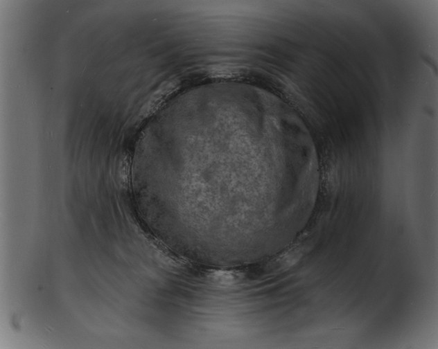 X0000103240277200809111604