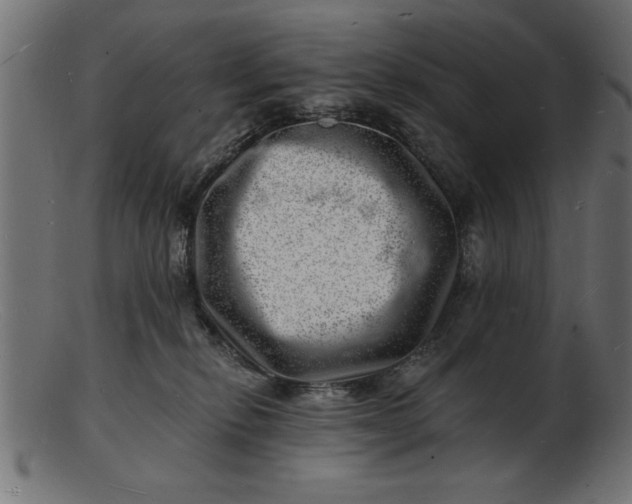 X0000103240278200809111604