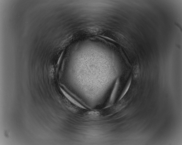 X0000103240279200809111604