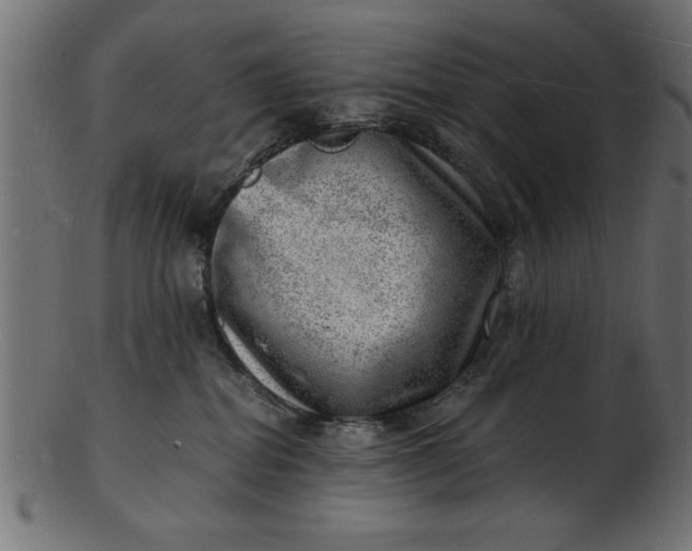 X0000103240282200809111604