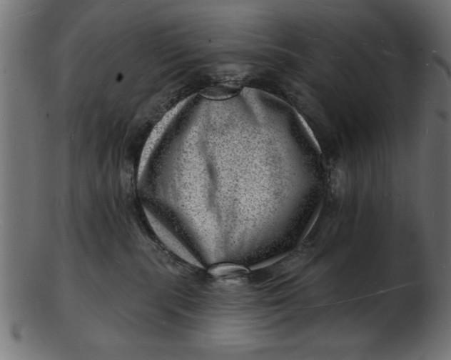 X0000103240283200809111604