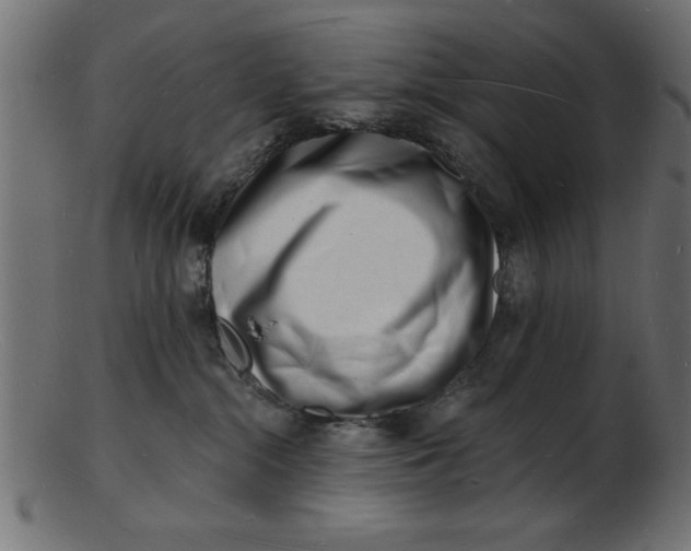 X0000103240284200809111604