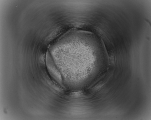 X0000103240286200809111604