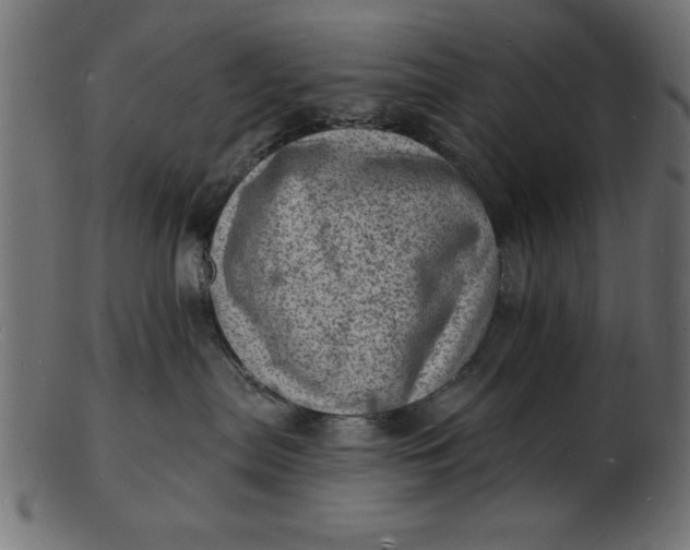 X0000103240287200809111604