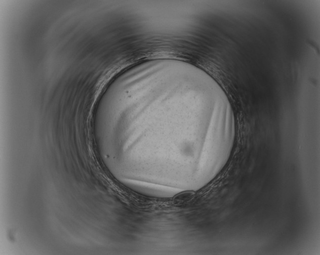 X0000103240289200809111603