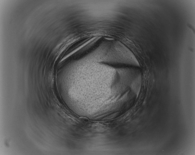 X0000103240290200809111603