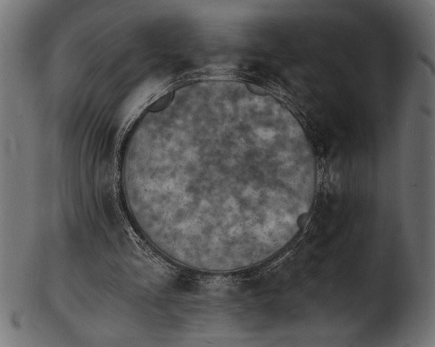 X0000103240293200809111603