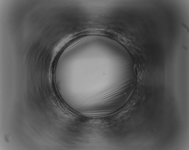 X0000103240294200809111603