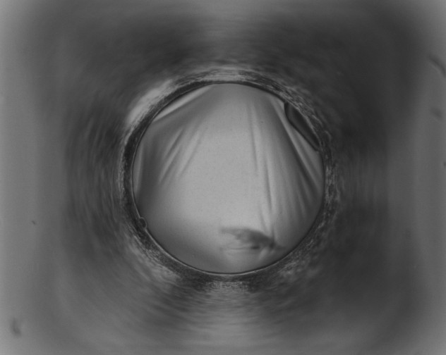 X0000103240296200809111603