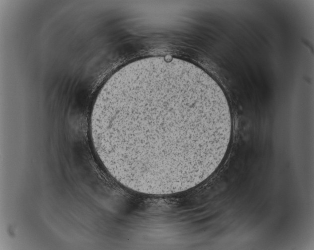 X0000103240297200809111603