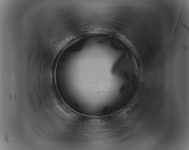 X0000103240298200809111603