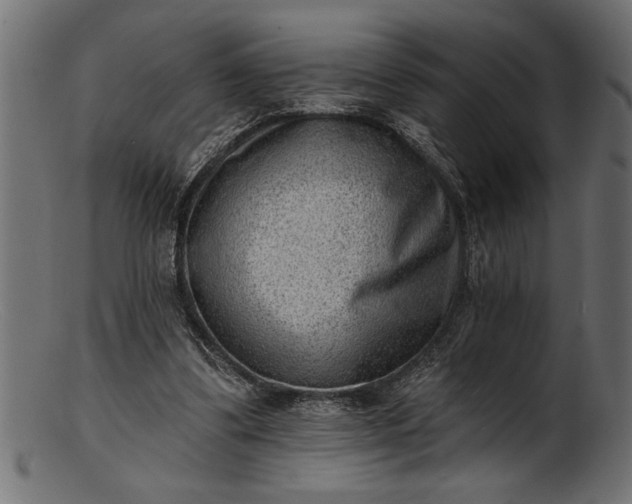 X0000103240299200809111603