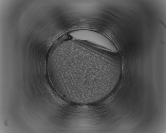 X0000103240301200809111603