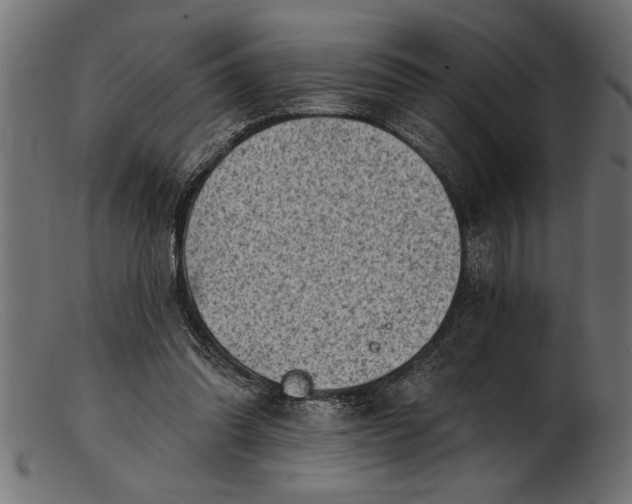 X0000103240302200809111603