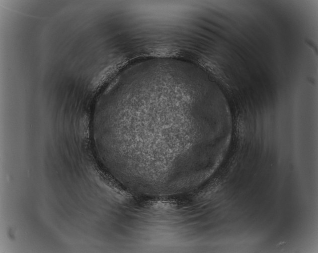 X0000103240303200809111603