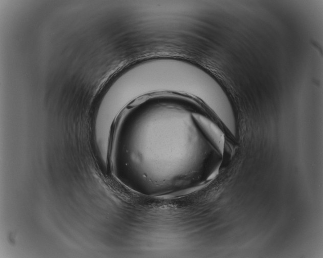 X0000103240304200809111603