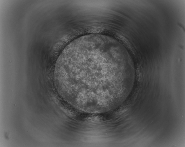 X0000103240307200809111603