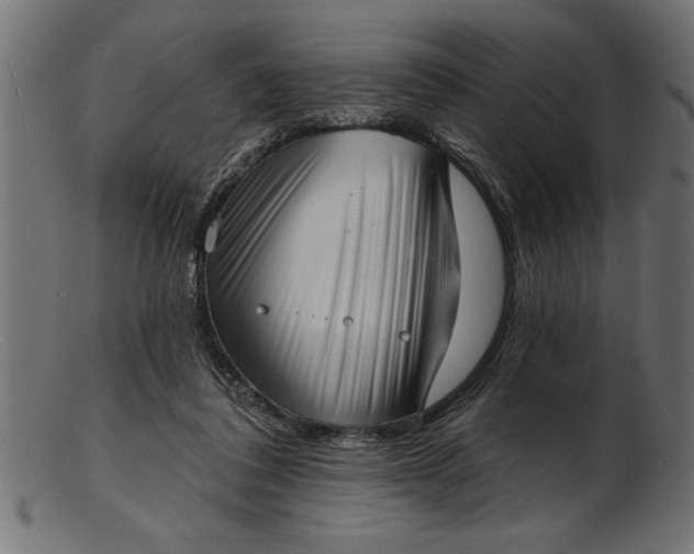 X0000103240308200809111603