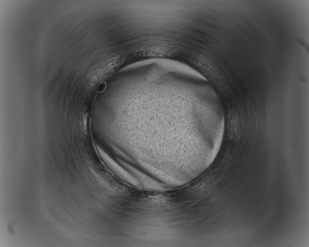 X0000103240310200809111603