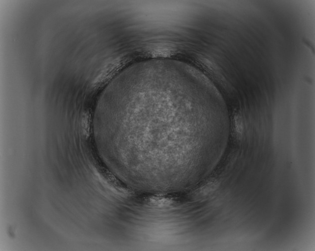 X0000103240311200809111603