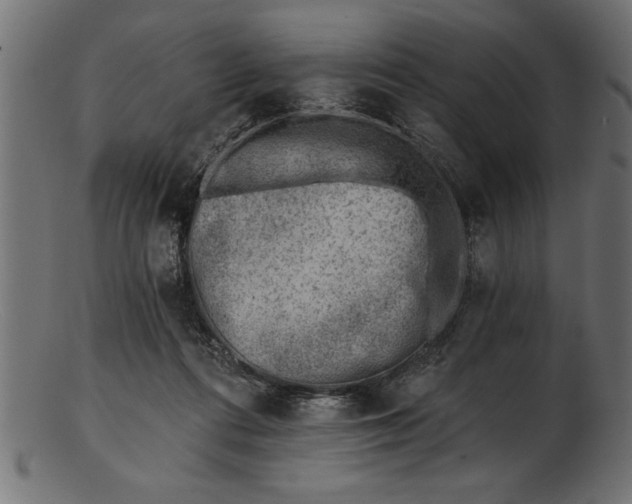 X0000103240312200809111603